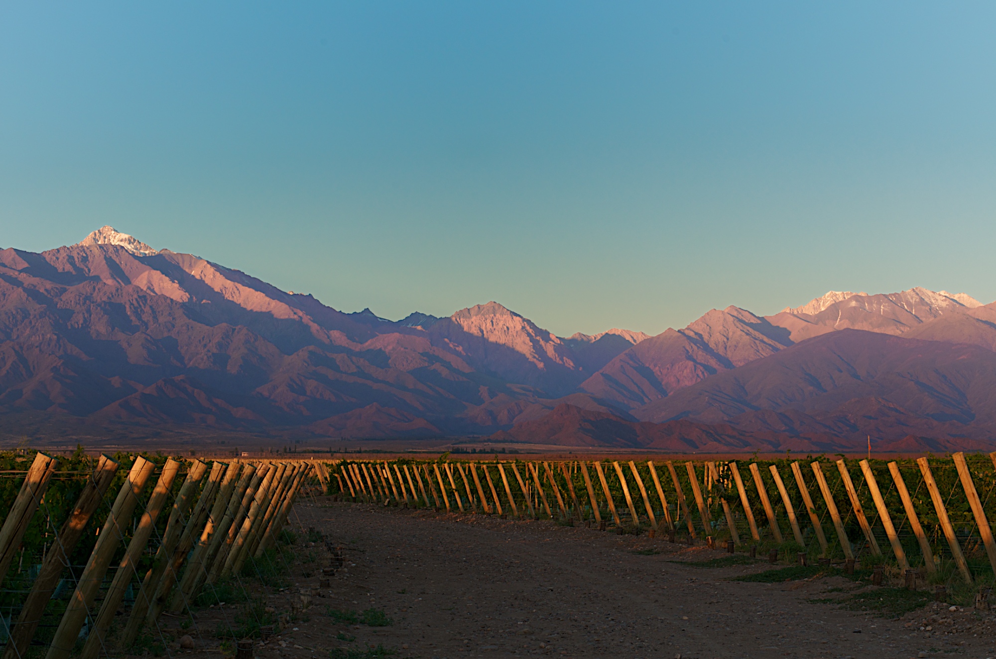 Viva Argentina, avagy Malbec-világnap a Boscolo-ban 2. rész