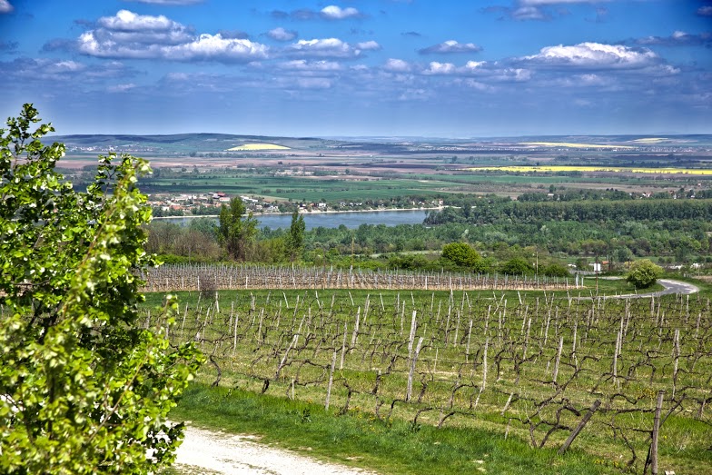A Hilltop ünnepel: Zolbert Jazz & Wine Fest Neszmélyen