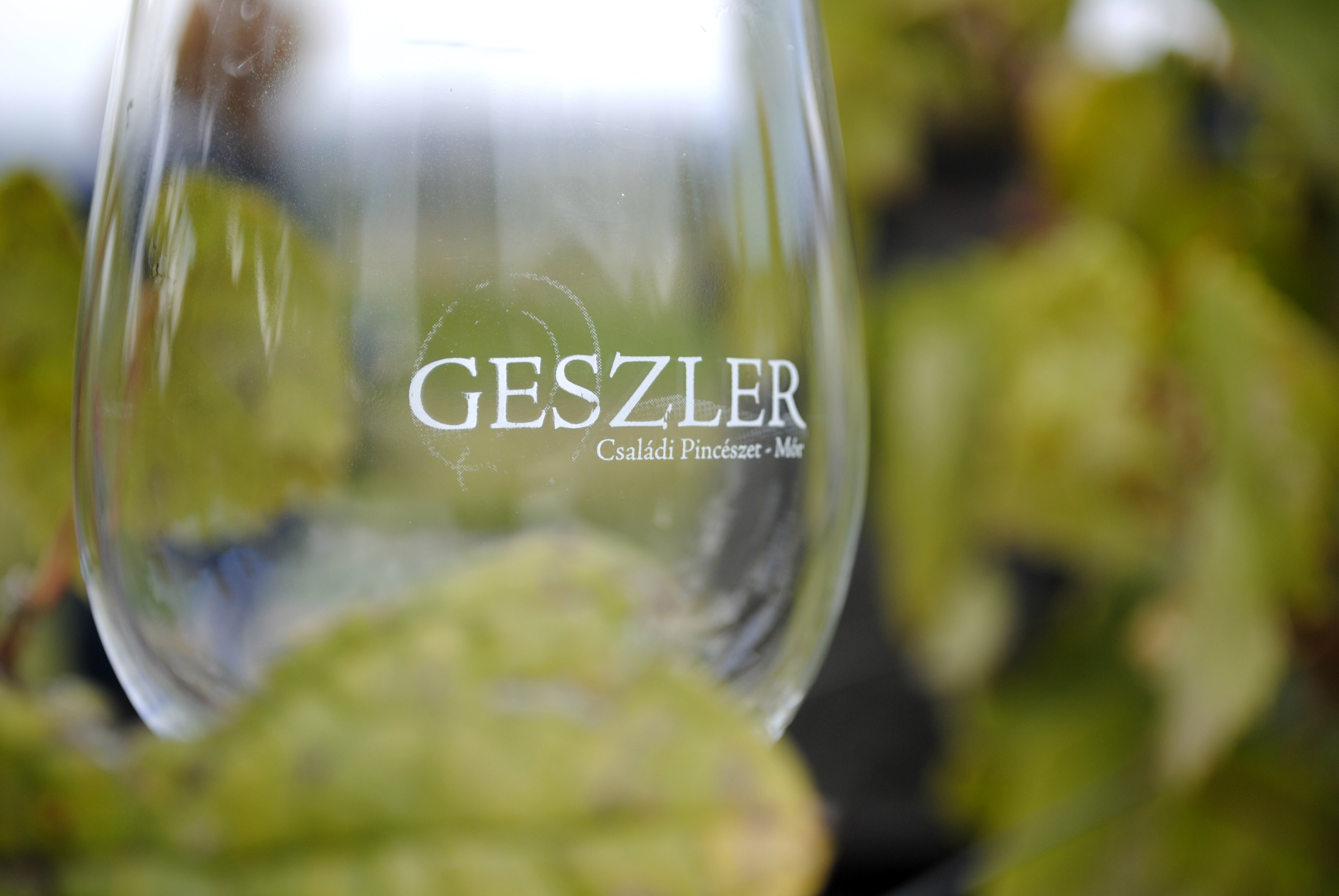 Geszler Pincészet, Mór – „A feszültség a fejlődés útja.”