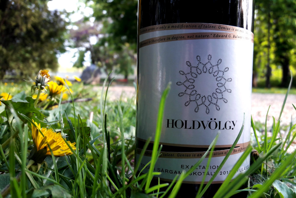 Bor-gondolatok: Holdvölgy Sárgamuskotály 2013, Nyulászó