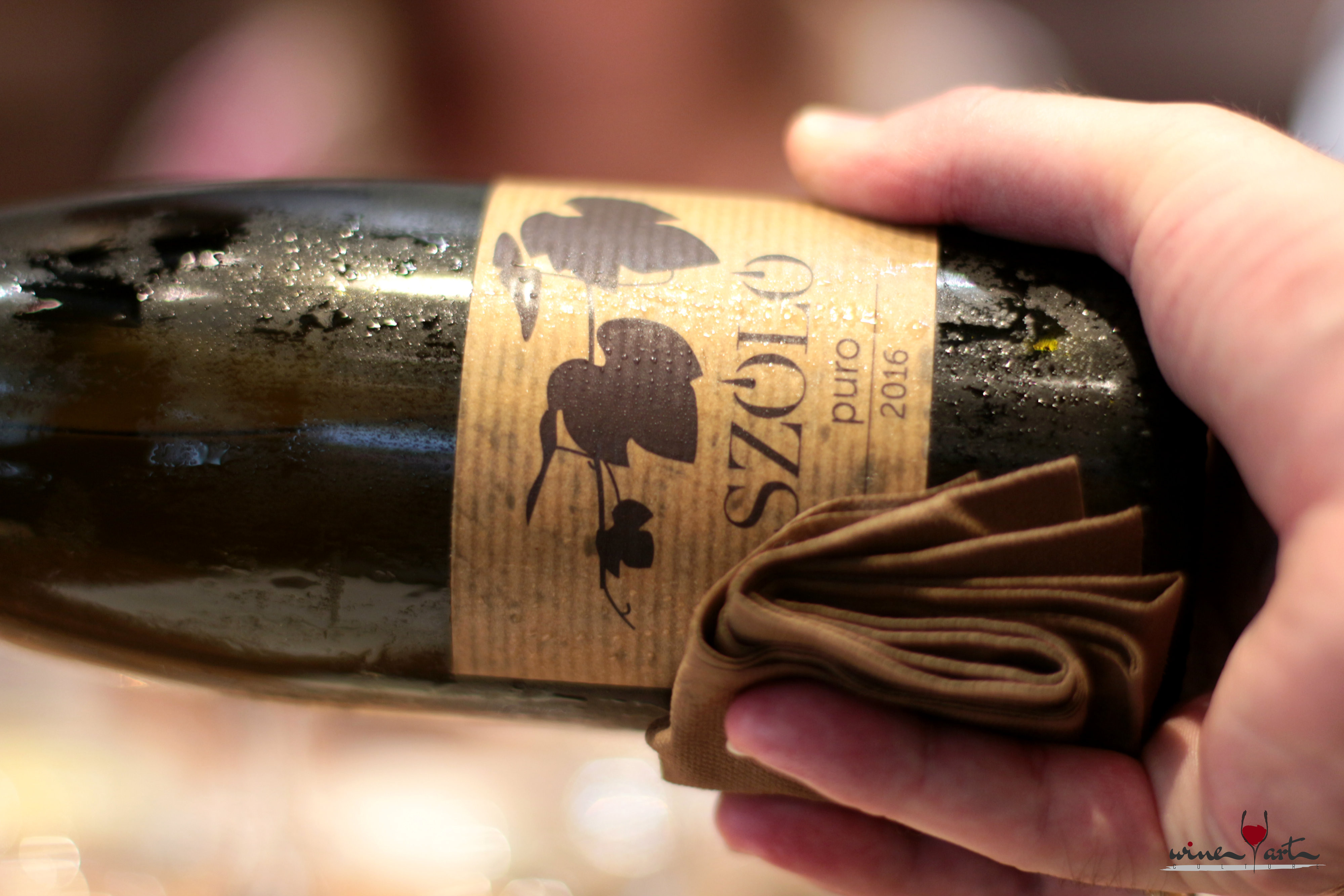 Menjetek Tállyára! Bemutatkozott a SZÓLÓ Fine Wine