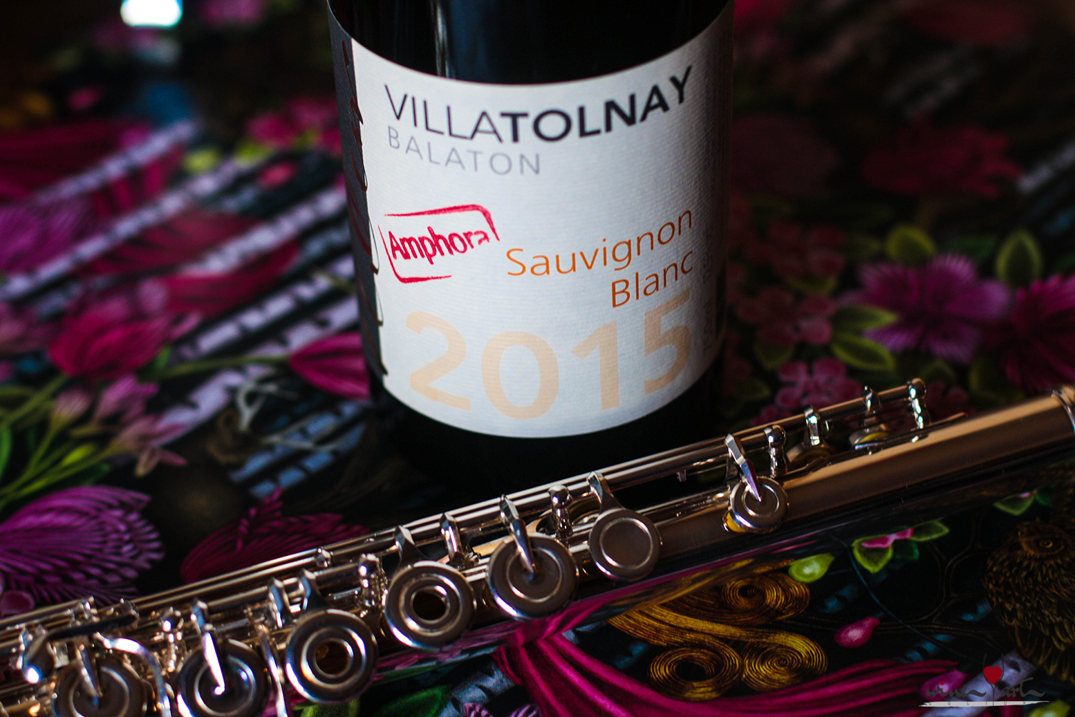 Villa Tolnay Sauvignon Blanc Amphora 2015