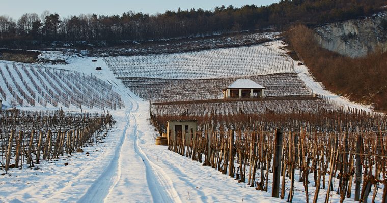 Tokaji aszú kóstoló: Hétszőlő, Béres, Basilicus, Espák, Tokajicum és Pannon Tokaj