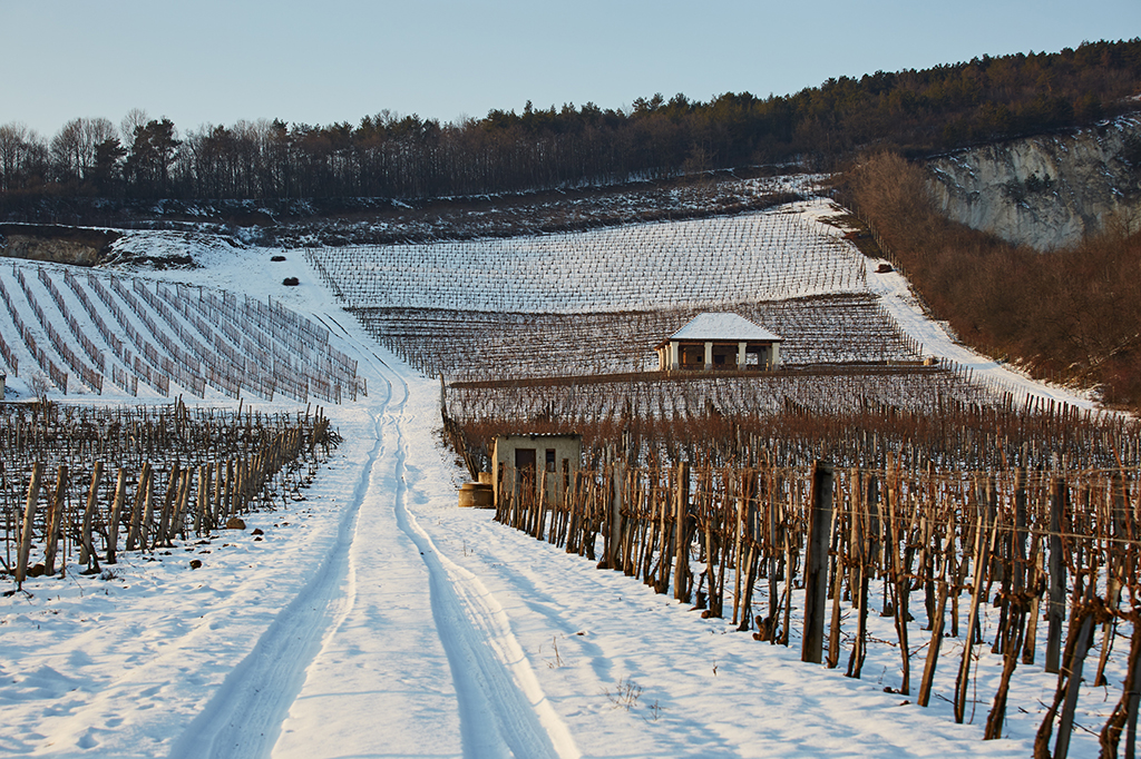 Tokaji aszú kóstoló: Hétszőlő, Béres, Basilicus, Espák, Tokajicum és Pannon Tokaj