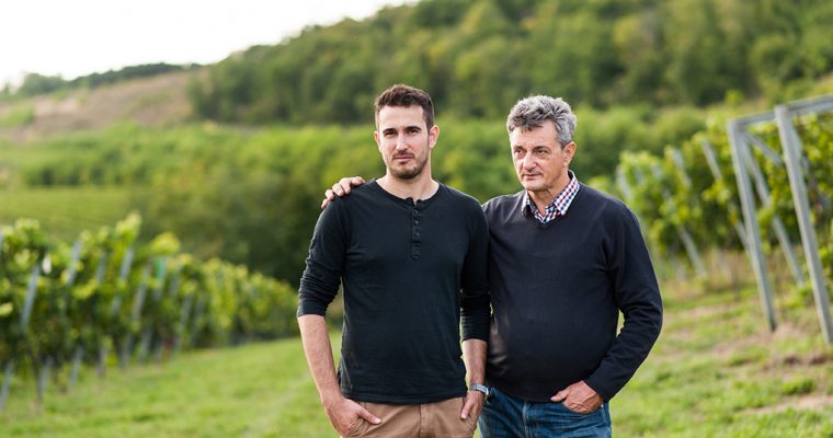 ifj. Vida Péter – Jó irányban halad-e Szekszárd?