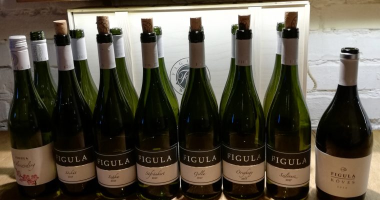 Figula borbemutató – A legdrágább magyar száraz fehérbor nyomában