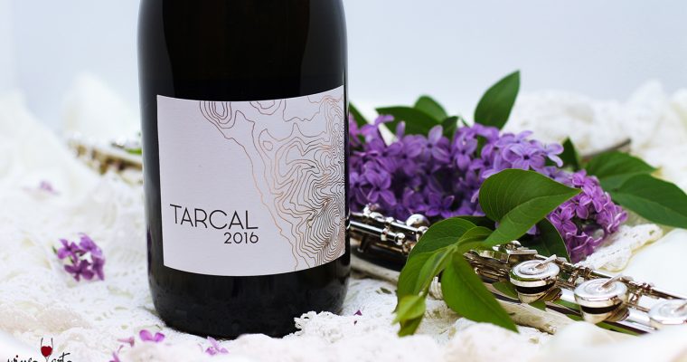 Tarcal Bor 2016 – Az összefogás bora