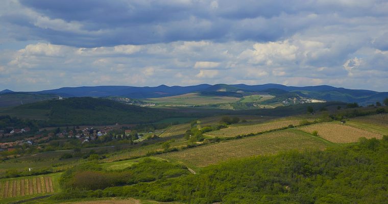 Felajánlás Tarcalon