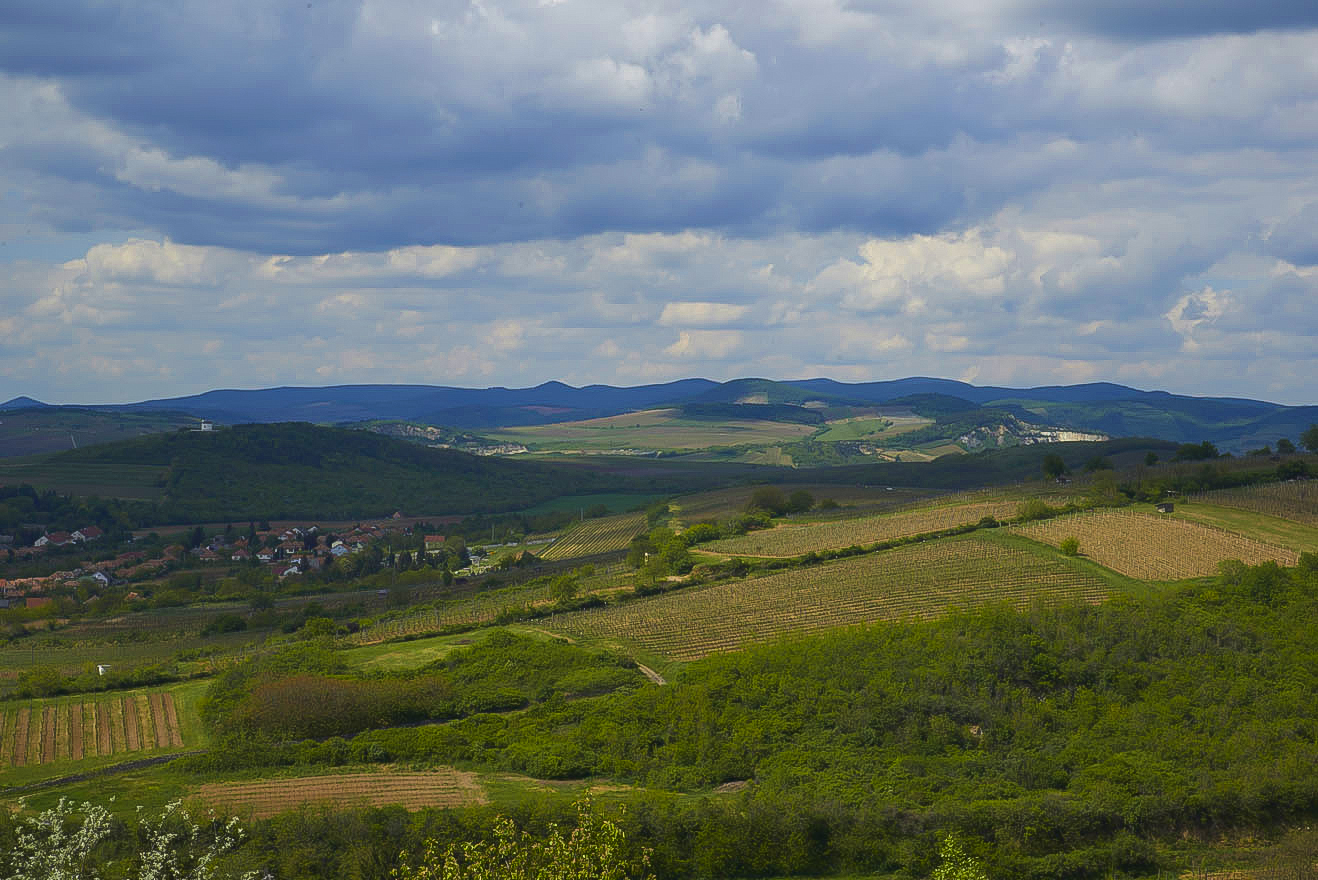 Felajánlás Tarcalon