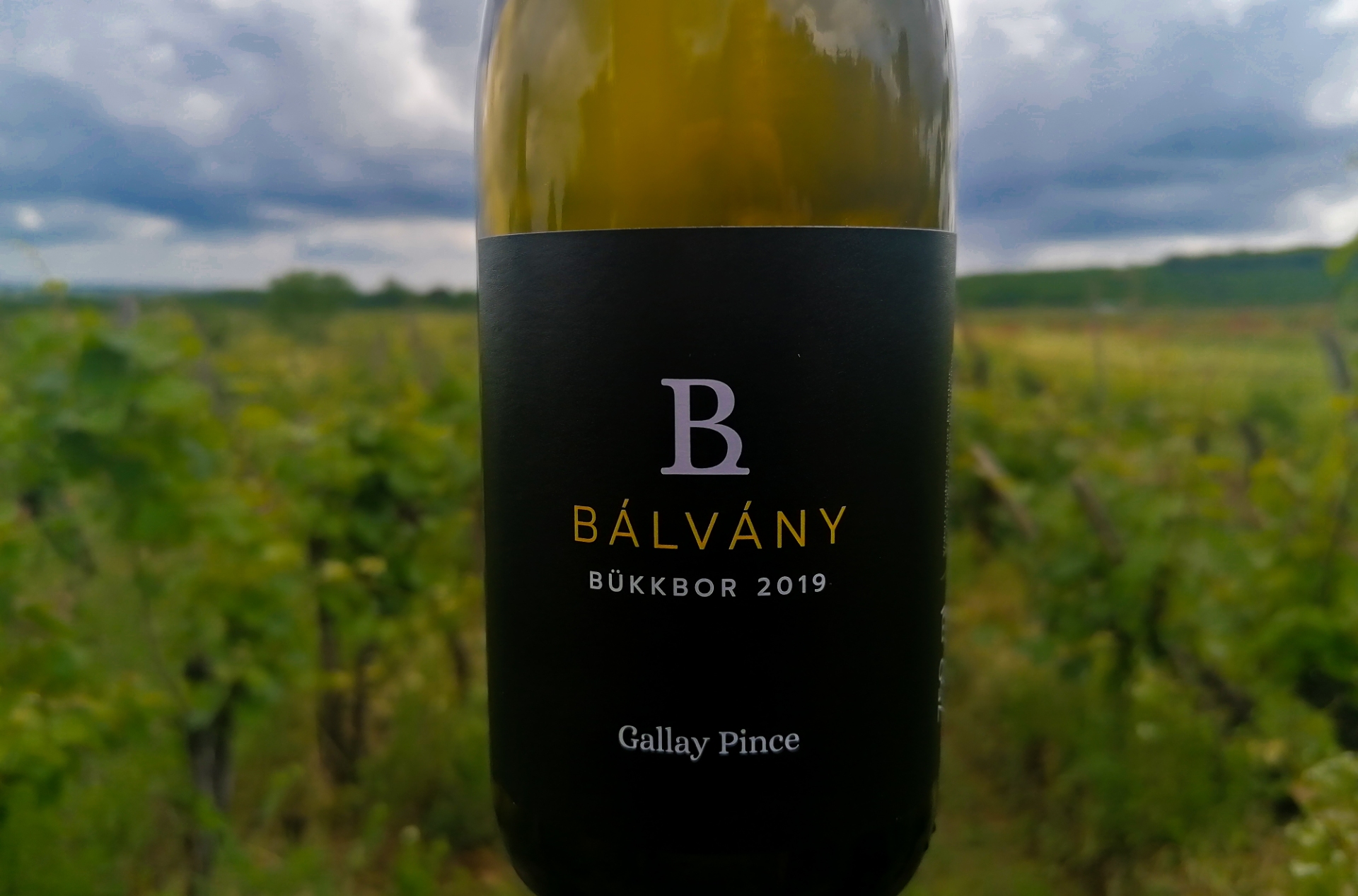 Bálvány, a Bükkbor: Lehet bálványozni…