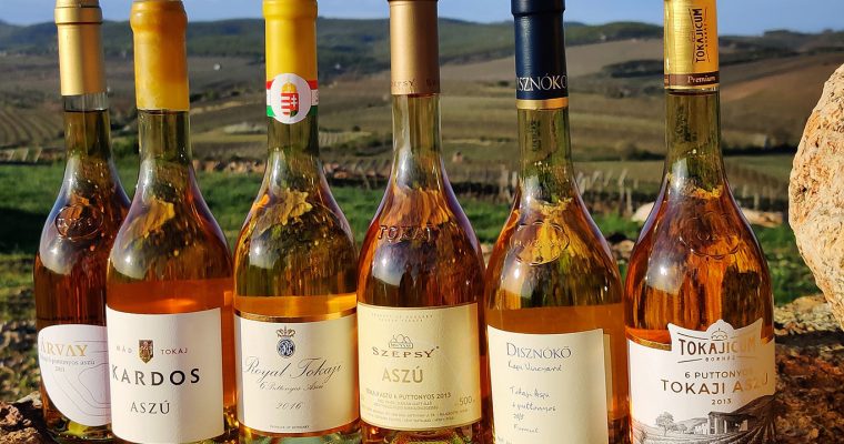 Új összefogás a Tokaji borvidéken