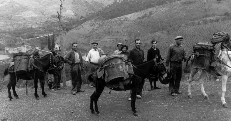 Talán az egyik legizgalmasabb borvidék
