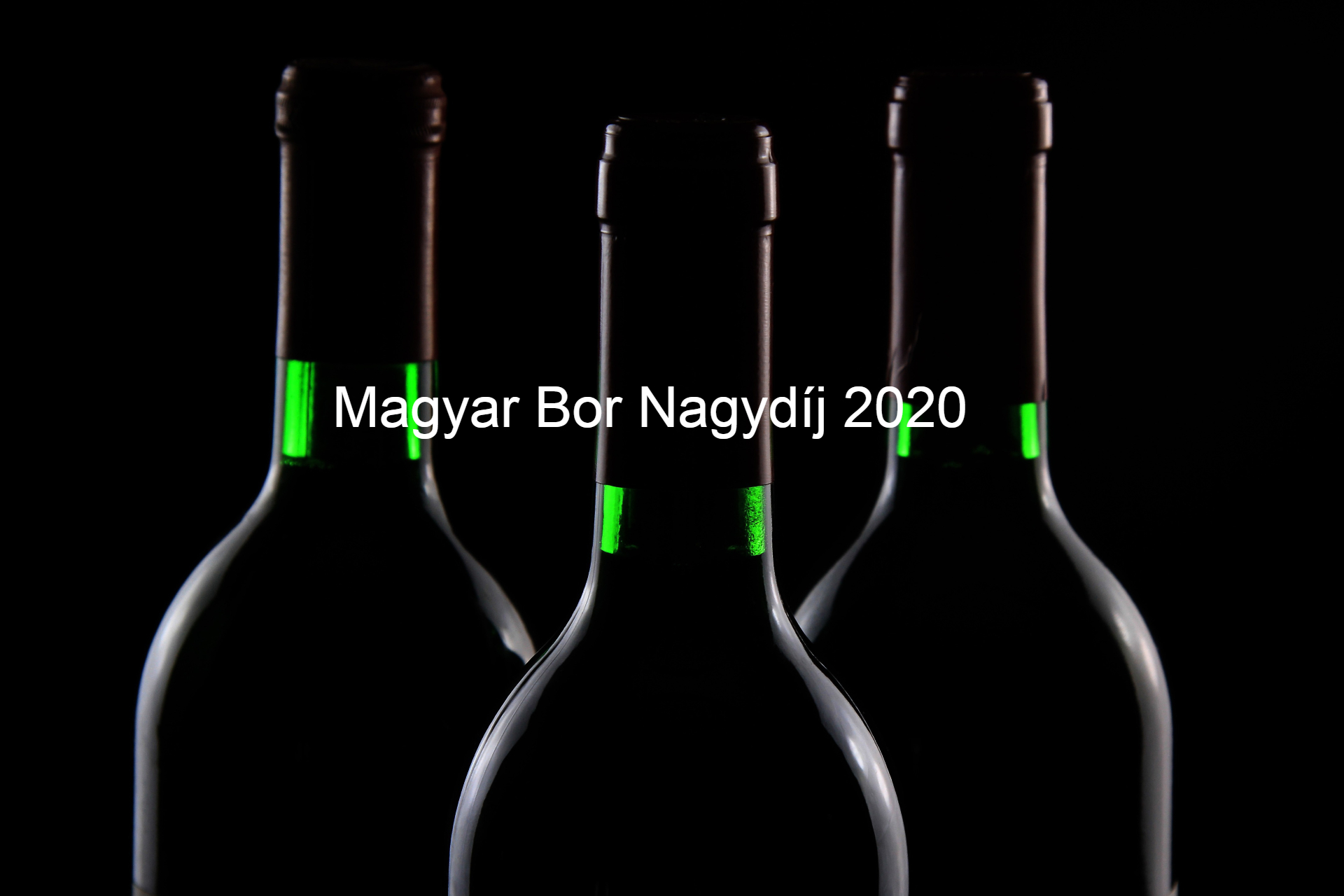 Ezek a legjobb borok 2020-ban a borszakírók szerint