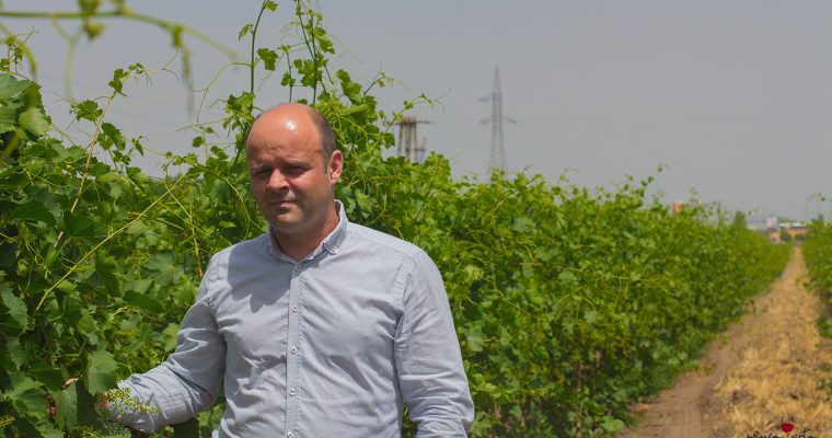 Font Gábor: „Minden évjáratban bizonyítani kell”