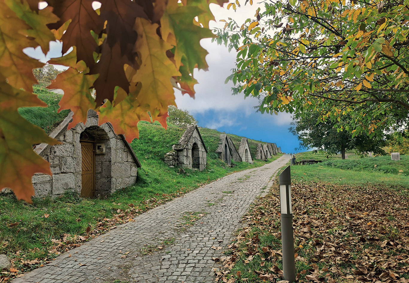 Őszi séta mesebeli pincék között Tokaj – Hegyalján