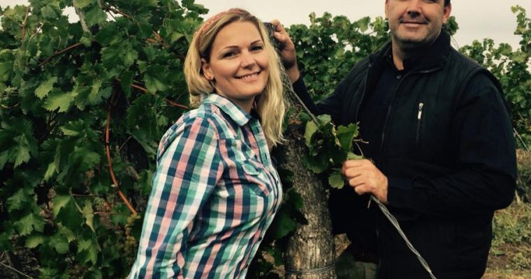 Fontos év volt a bükki Gallay Pince számára