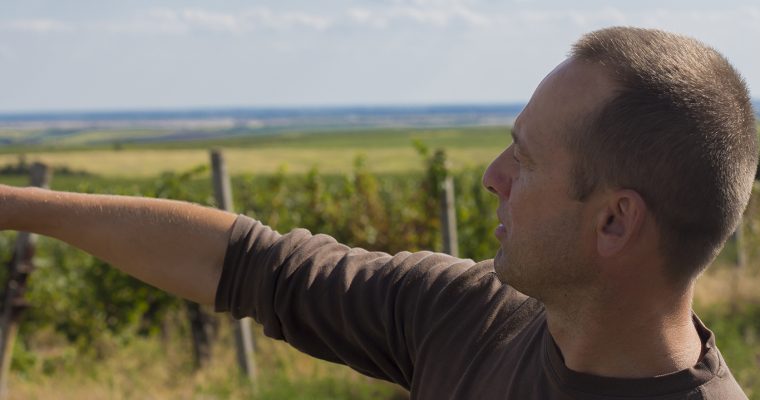 Vámos Attila: Kilépni a komfortzónából