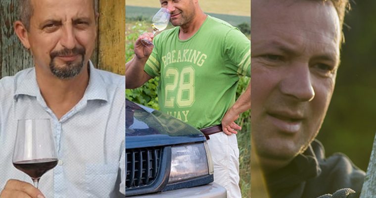 Hat borász, tizenkét bor – első rész