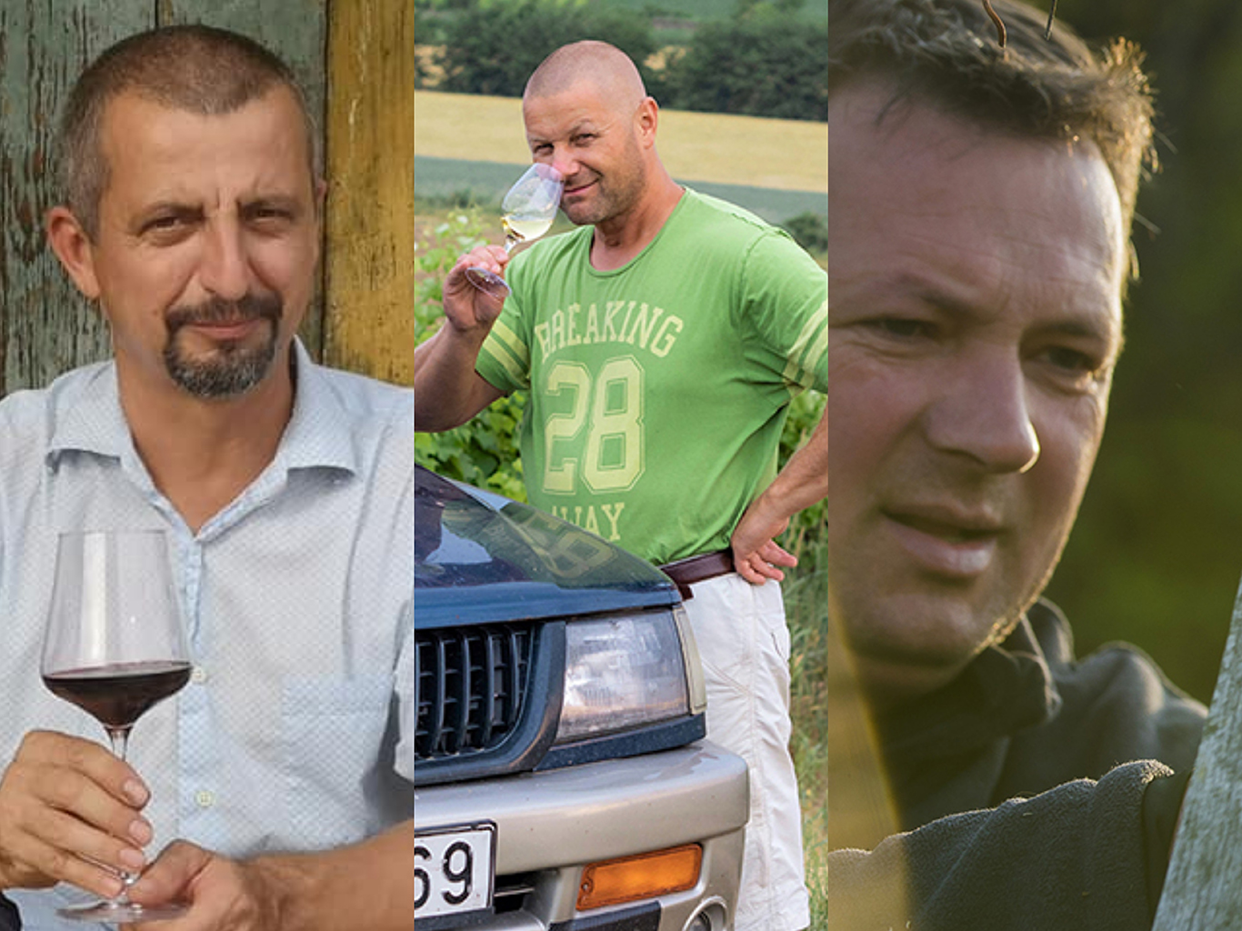 Hat borász, tizenkét bor – első rész