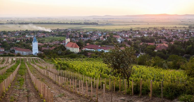 Bűbájos Hétvége Tarcalon 2022