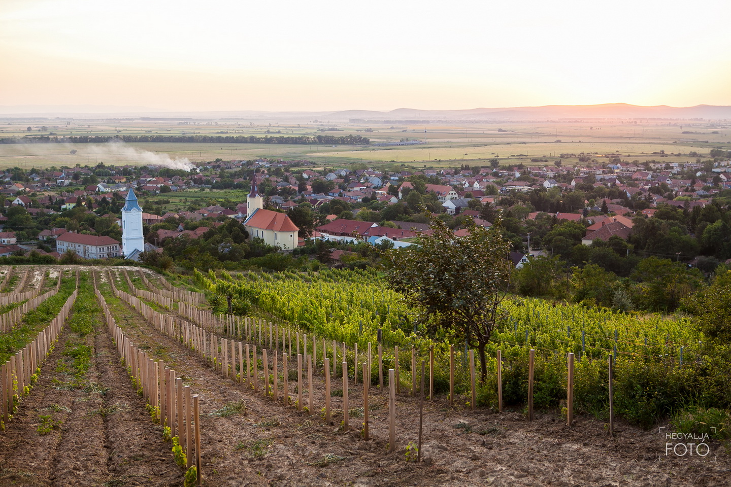 Bűbájos Hétvége Tarcalon 2022
