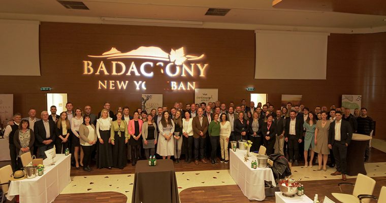 Badacsonyi csúcsok a New York Palotában