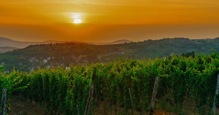 Tokaj, legendák nyomában: a Szerelmi