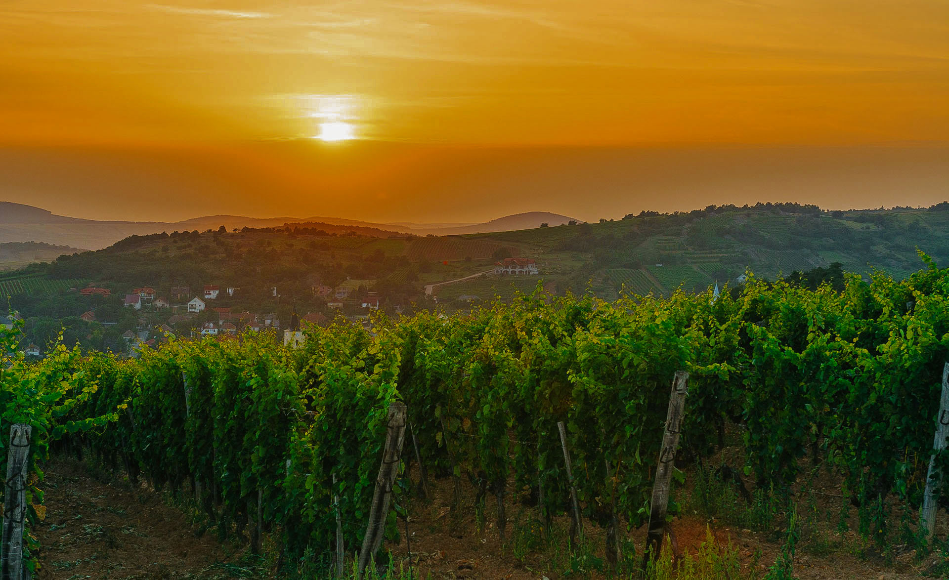 Tokaj, legendák nyomában: a Szerelmi