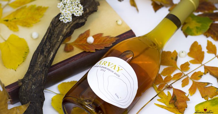 Tokaj, legendák nyomában: a Padihegy